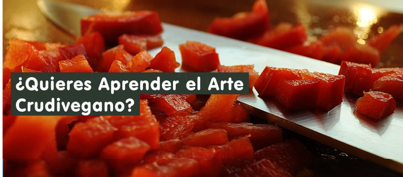 curso culinario crudivegano en línea a base de plantas a distancia