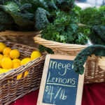 Plant-Based Diet Recipes - Farmer's Market Prices