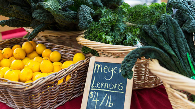 Plant-Based Diet Recipes - Farmer's Market Prices