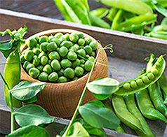 Eating a plant-based diet - Pea Pods